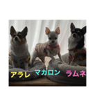 ラムネアラレマカロンスタンプ2（個別スタンプ：4）