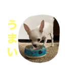 ラムネアラレマカロンスタンプ2（個別スタンプ：7）