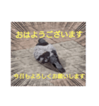 どうですかね？（個別スタンプ：2）
