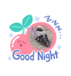 どうですかね？（個別スタンプ：3）