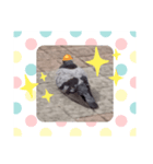 どうですかね？（個別スタンプ：6）