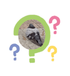 どうですかね？（個別スタンプ：8）
