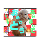 らぶぞぅお正月（個別スタンプ：3）