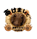 らぶぞぅお正月（個別スタンプ：7）