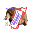 らぶぞぅお正月（個別スタンプ：8）