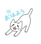 はのねこスタンプ（個別スタンプ：9）