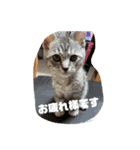 マックの一言（個別スタンプ：1）