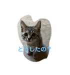 マックの一言（個別スタンプ：4）