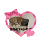 マックの一言（個別スタンプ：5）