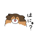 ちょっとクセのあるうちの犬（個別スタンプ：8）