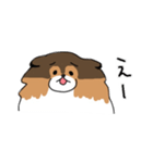 ちょっとクセのあるうちの犬（個別スタンプ：9）