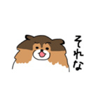 ちょっとクセのあるうちの犬（個別スタンプ：11）