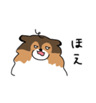 ちょっとクセのあるうちの犬（個別スタンプ：14）