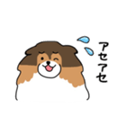 ちょっとクセのあるうちの犬（個別スタンプ：21）