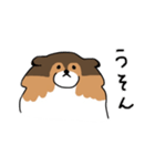 ちょっとクセのあるうちの犬（個別スタンプ：22）