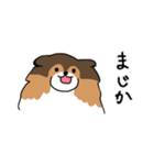 ちょっとクセのあるうちの犬（個別スタンプ：23）