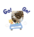 琢猫白（個別スタンプ：15）