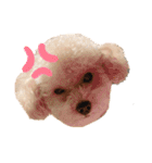 ぷあちゃんろあちゃんすたんぷ（個別スタンプ：3）