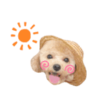 ぷあちゃんろあちゃんすたんぷ（個別スタンプ：8）