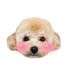 ぷあちゃんろあちゃんすたんぷ（個別スタンプ：9）