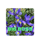 BIG BOSS時代（個別スタンプ：2）