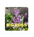 BIG BOSS時代（個別スタンプ：4）