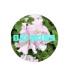 BIG BOSS時代（個別スタンプ：9）