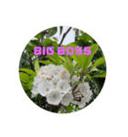 BIG BOSS時代（個別スタンプ：10）