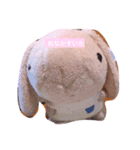 たんたんスタンプ5（個別スタンプ：7）