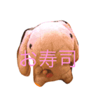 たんたんスタンプ5（個別スタンプ：8）