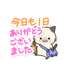 毎日便利に使える☆おちゃめなシャム猫（個別スタンプ：38）
