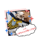 ラナくん5（個別スタンプ：1）