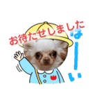 ラナくん5（個別スタンプ：2）