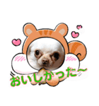 ラナくん5（個別スタンプ：3）