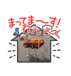 ラナくん5（個別スタンプ：7）