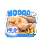 ラナくん5（個別スタンプ：8）