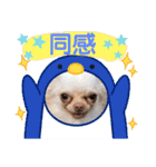 ラナくん5（個別スタンプ：14）