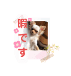 ラナくん5（個別スタンプ：17）