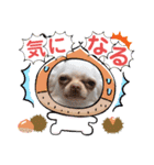 ラナくん5（個別スタンプ：18）