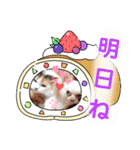 ラナくん5（個別スタンプ：20）