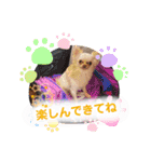 ラナくん5（個別スタンプ：22）