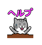 飛び出す！ねこワールド6（個別スタンプ：17）