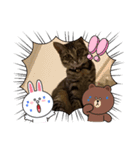 溺愛飼い主のくるみ姫のスタンプ（個別スタンプ：6）