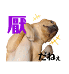 供血犬ラブラドール親子（個別スタンプ：8）