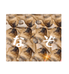 供血犬ラブラドール親子（個別スタンプ：35）
