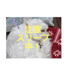 ビジョンララちゃん（個別スタンプ：2）