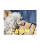ビジョンララちゃん（個別スタンプ：8）