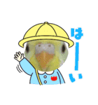 セキセイインコちゃんたち（個別スタンプ：40）