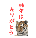 BIGなトラの寅年スタンプ！2022年 年末年始（個別スタンプ：18）