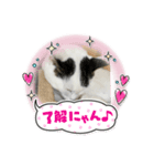 トラとなな（個別スタンプ：6）